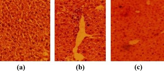 Evidence of health complications caused by mosquito coil smoke inhalation in mouse model