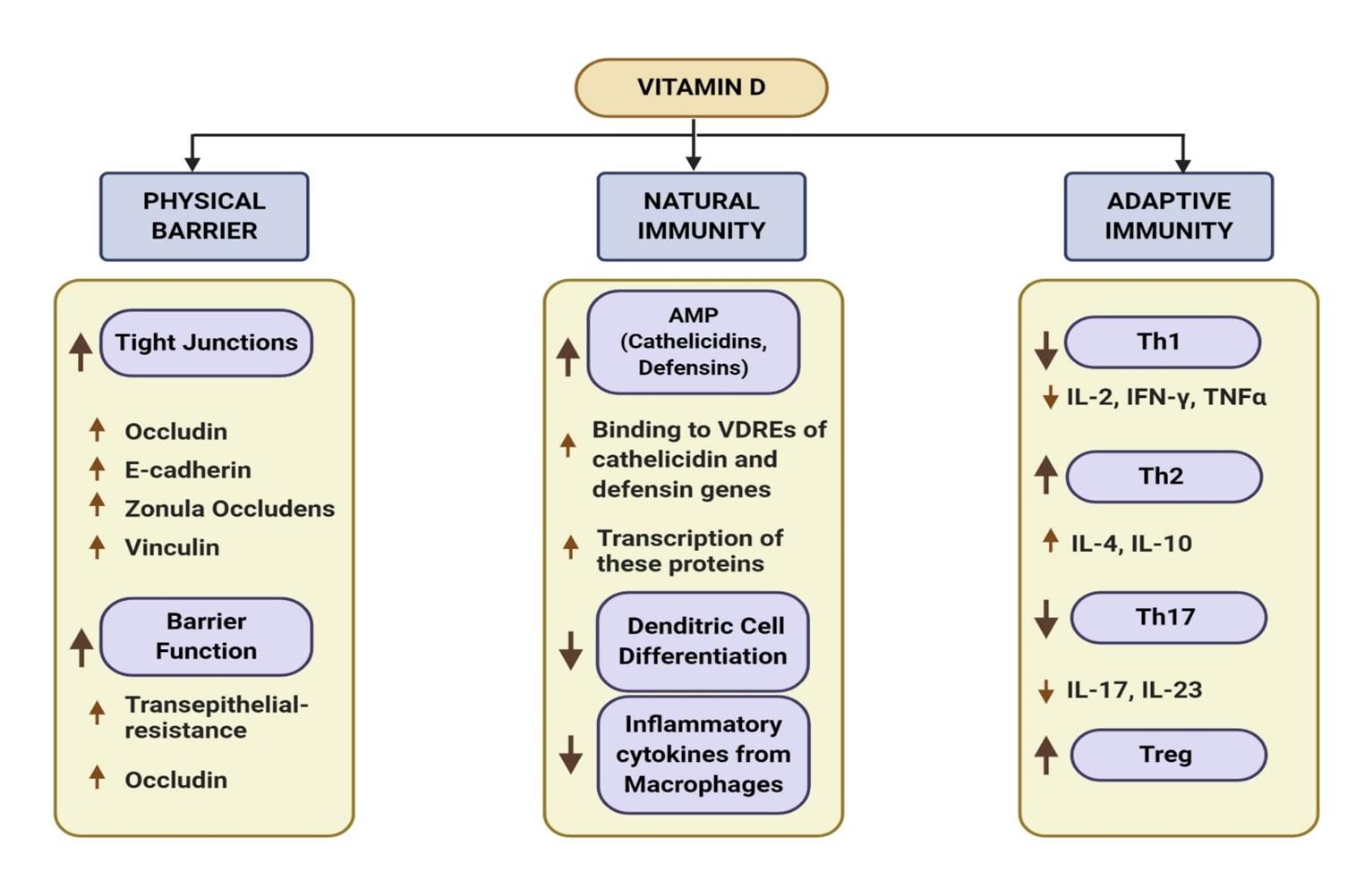Potential roles of vitamin D in the treatment of COVID-19 patient and improving maternal and child health during pandemic