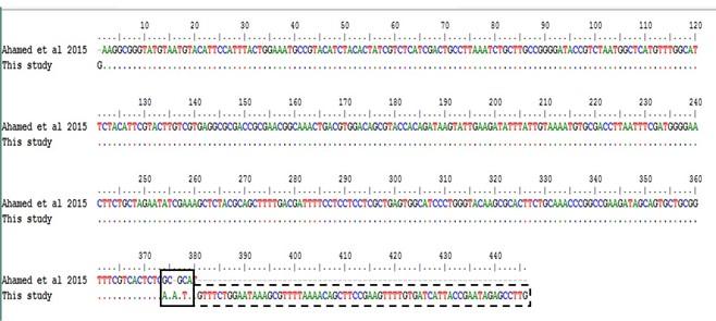 Comparative molecular analysis of contemporary isolates of duck plague virus from haor areas of Bangladesh