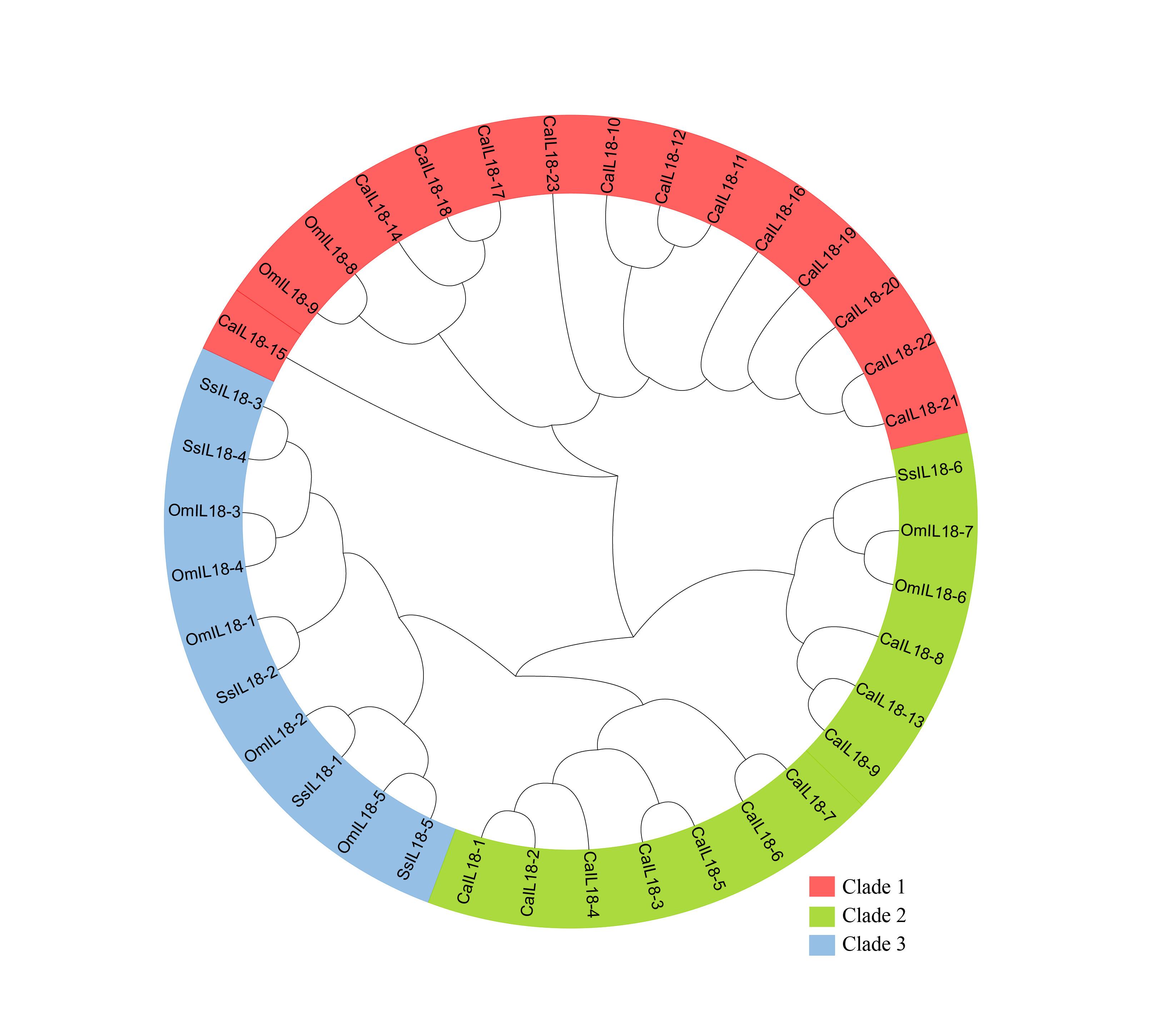 Genome-wide identification and characterization of interleukin-18 gene family in rainbow trout (<span>Oncorhynchus mykiss</span>)