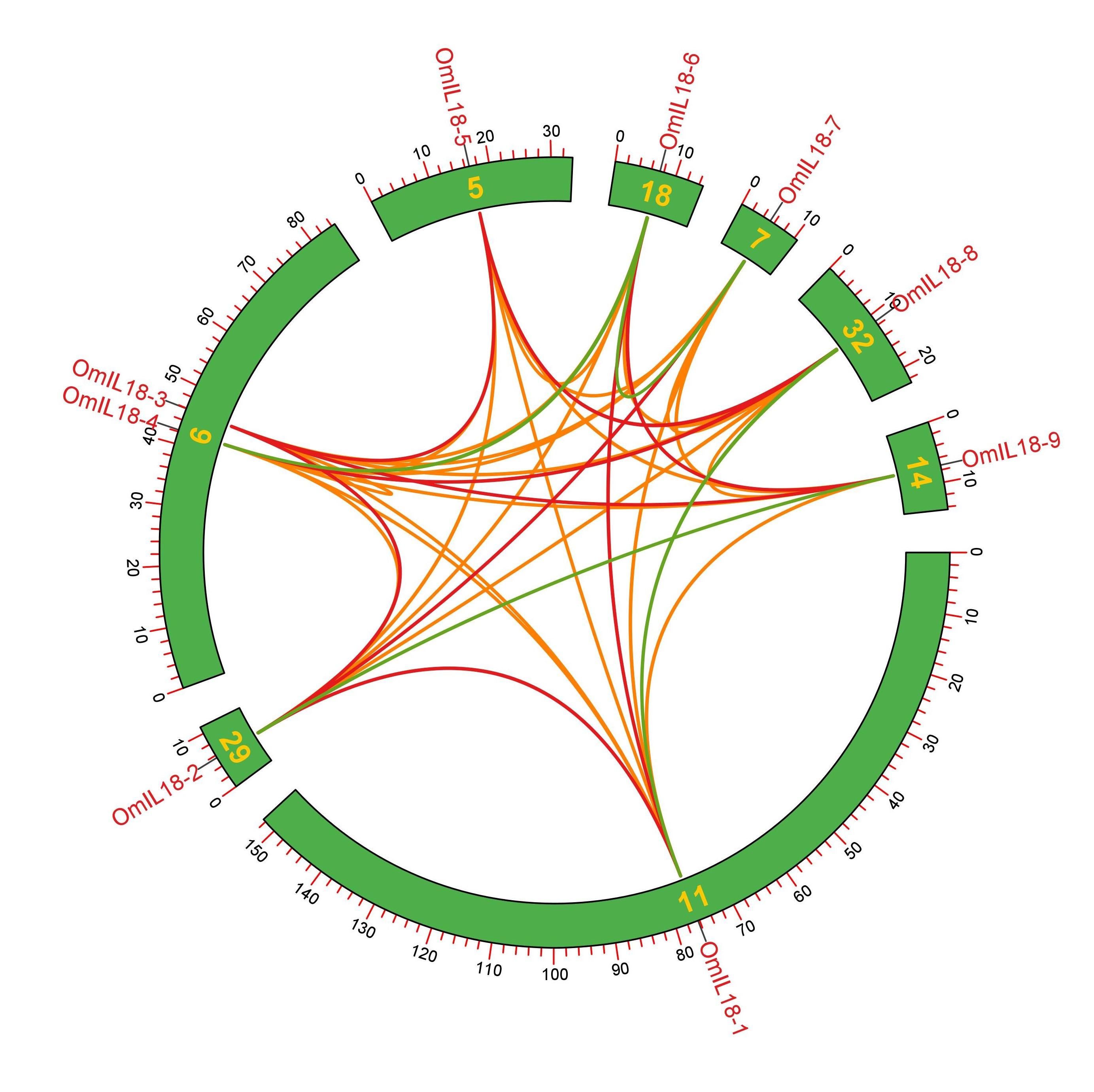 Genome-wide identification and characterization of interleukin-18 gene family in rainbow trout (<span>Oncorhynchus mykiss</span>)