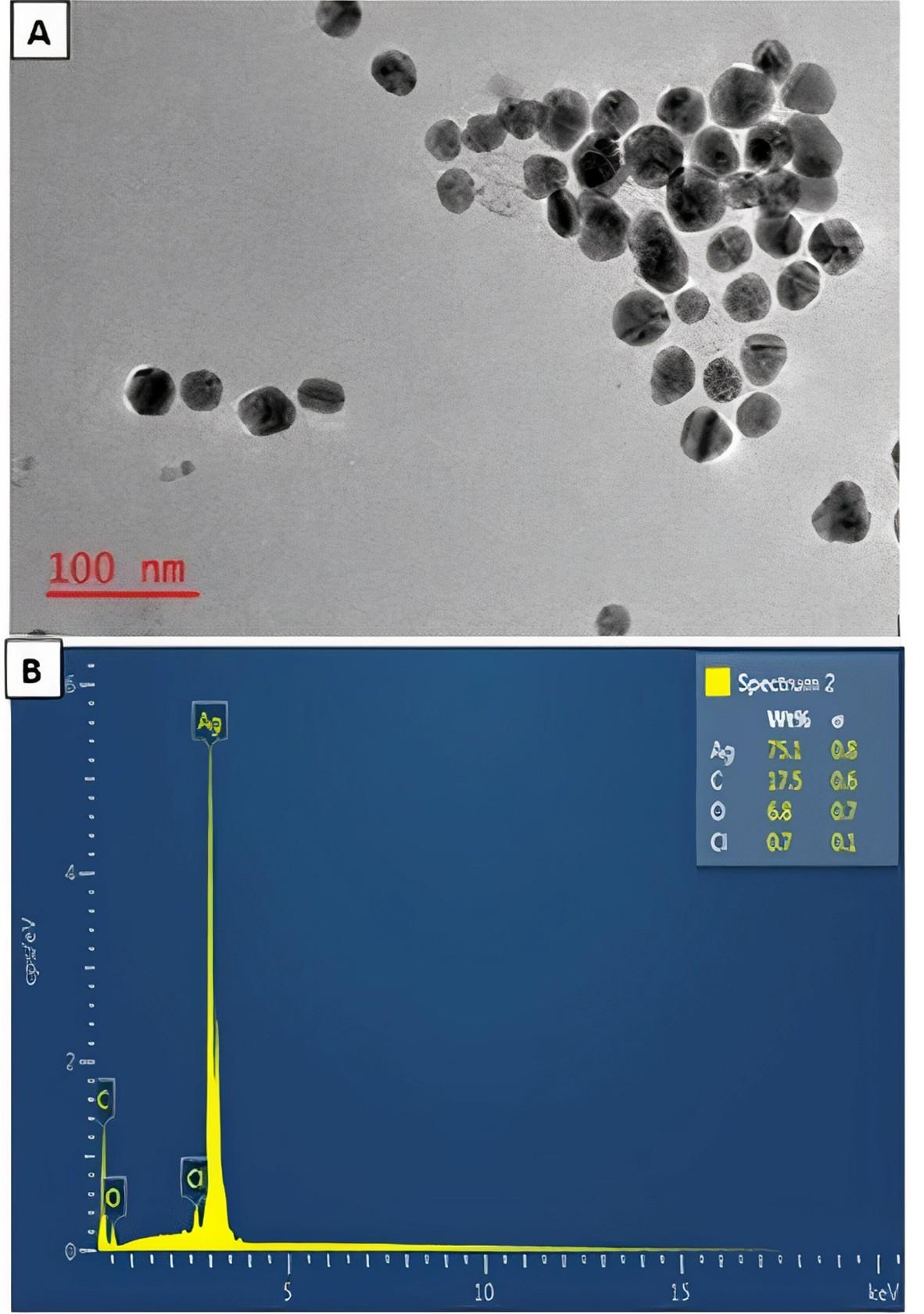 <span>Salvia officinalis</span>-mediated synthesis of silver nanoparticles: Characterization and sub-acute toxicity profile in Wistar rats