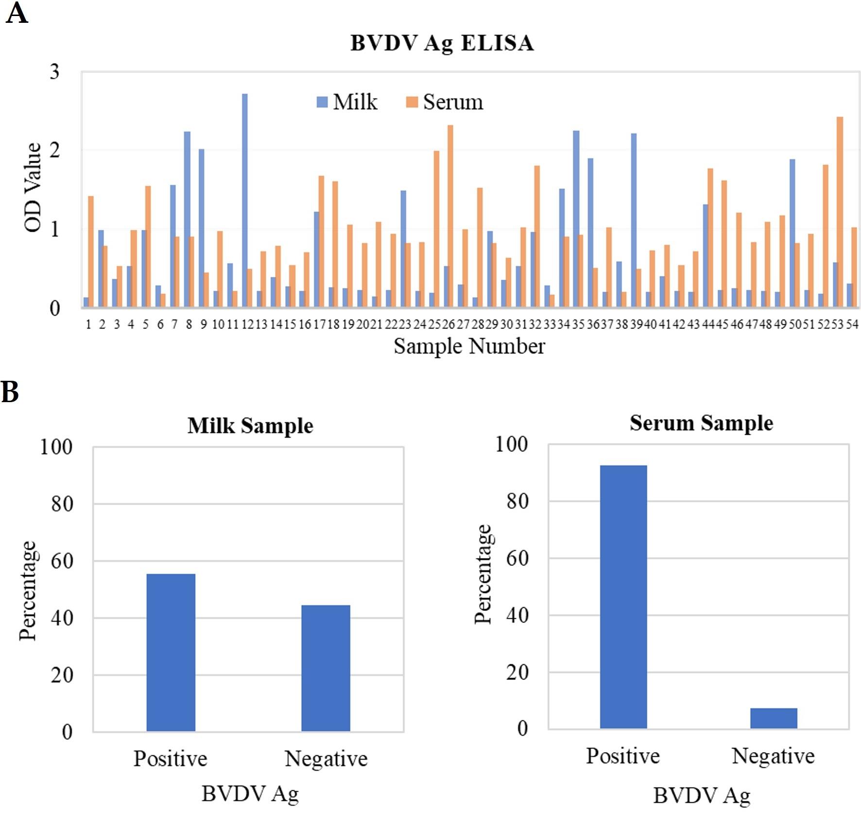 Bovine viral diarrhea virus antigen status in milk and blood serum: Implications for effective screening and risk factors analysis in dairy cows