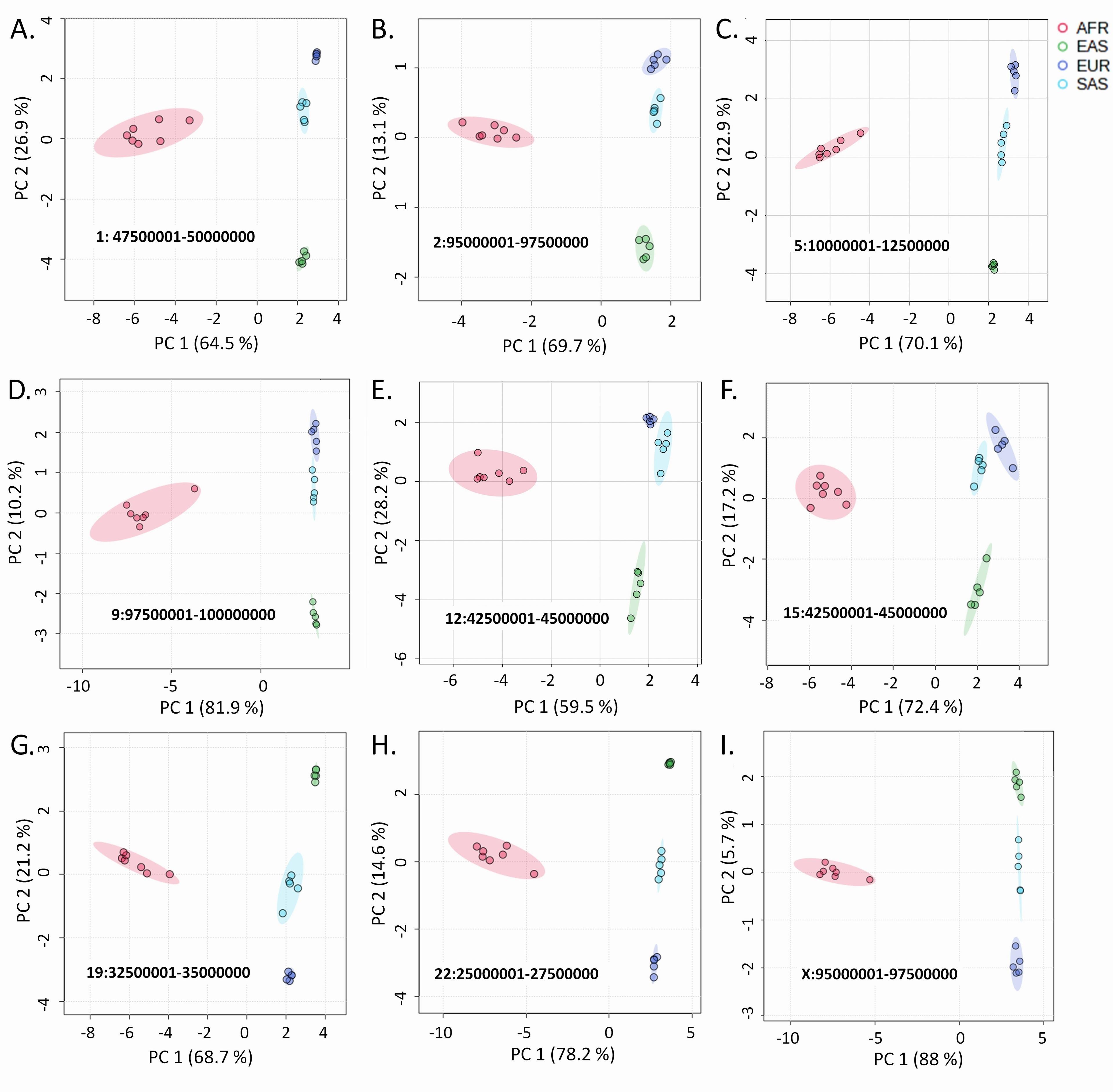 Trajectory of human migration: Insights from autosomal and non-autosomal variant clustering patterns