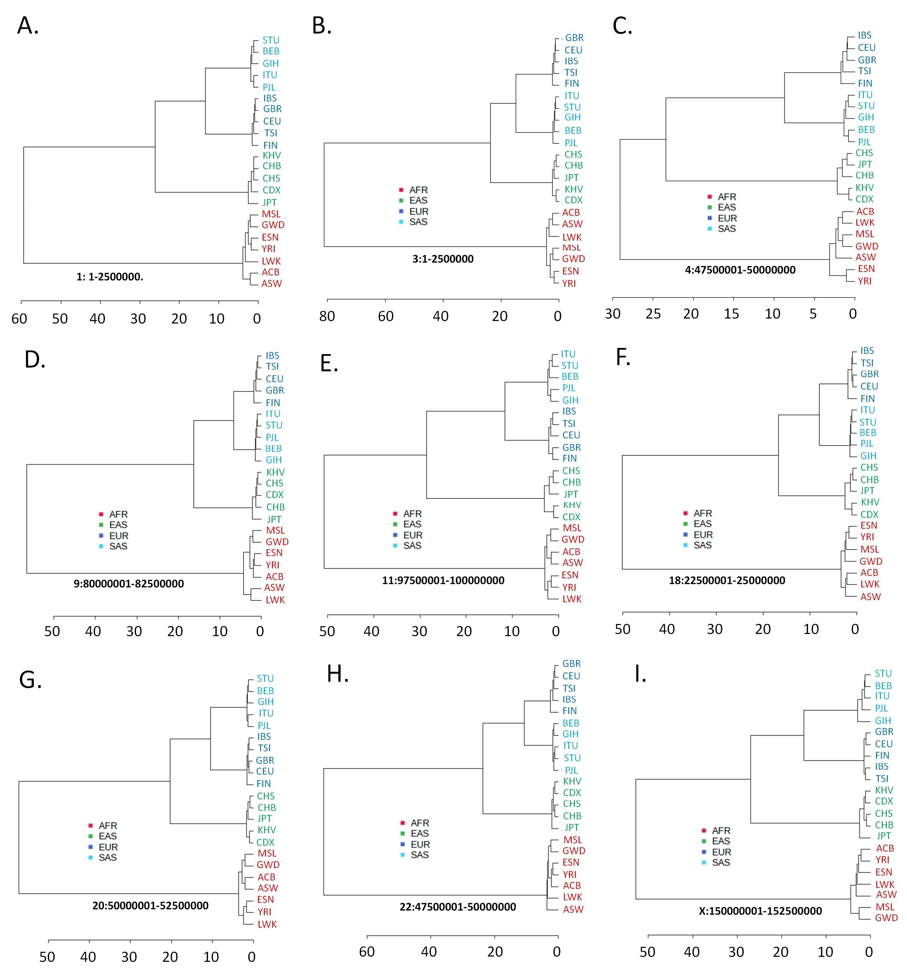Trajectory of human migration: Insights from autosomal and non-autosomal variant clustering patterns