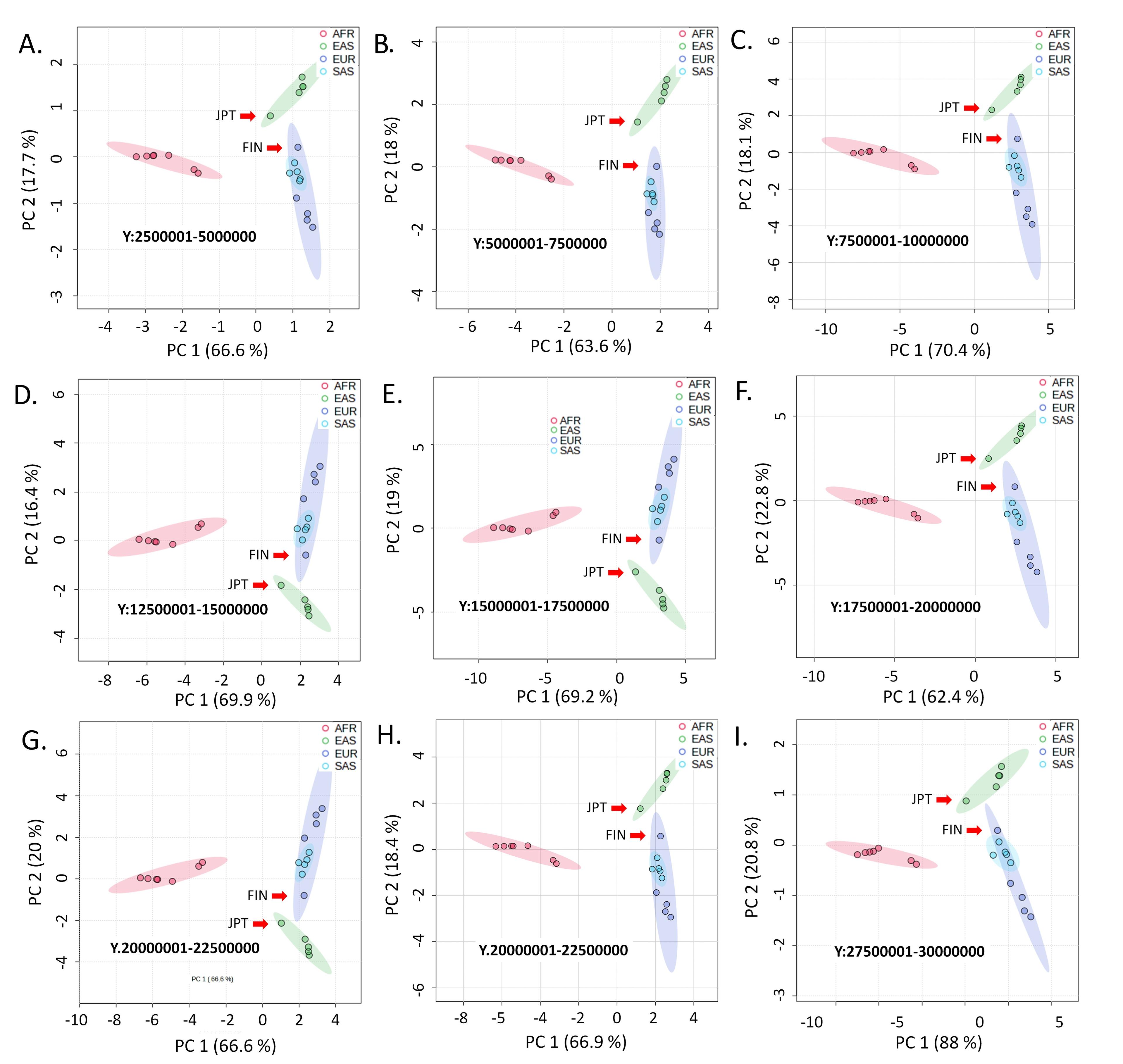 Trajectory of human migration: Insights from autosomal and non-autosomal variant clustering patterns