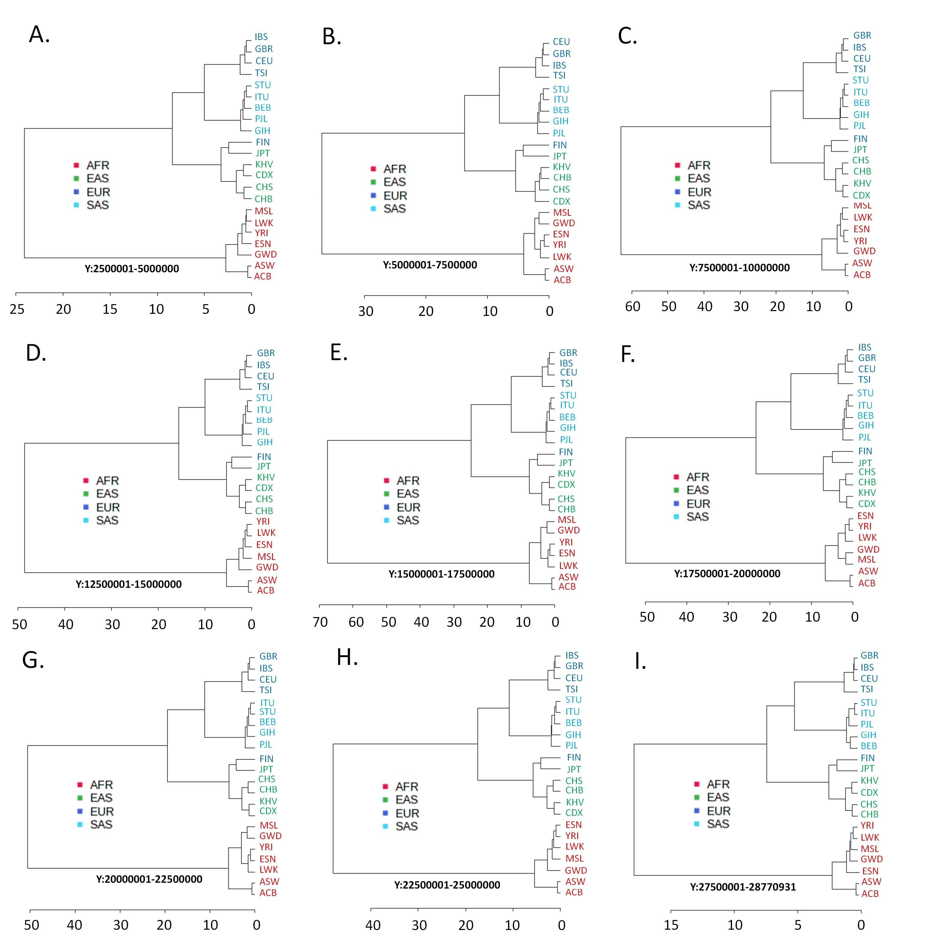 Trajectory of human migration: Insights from autosomal and non-autosomal variant clustering patterns