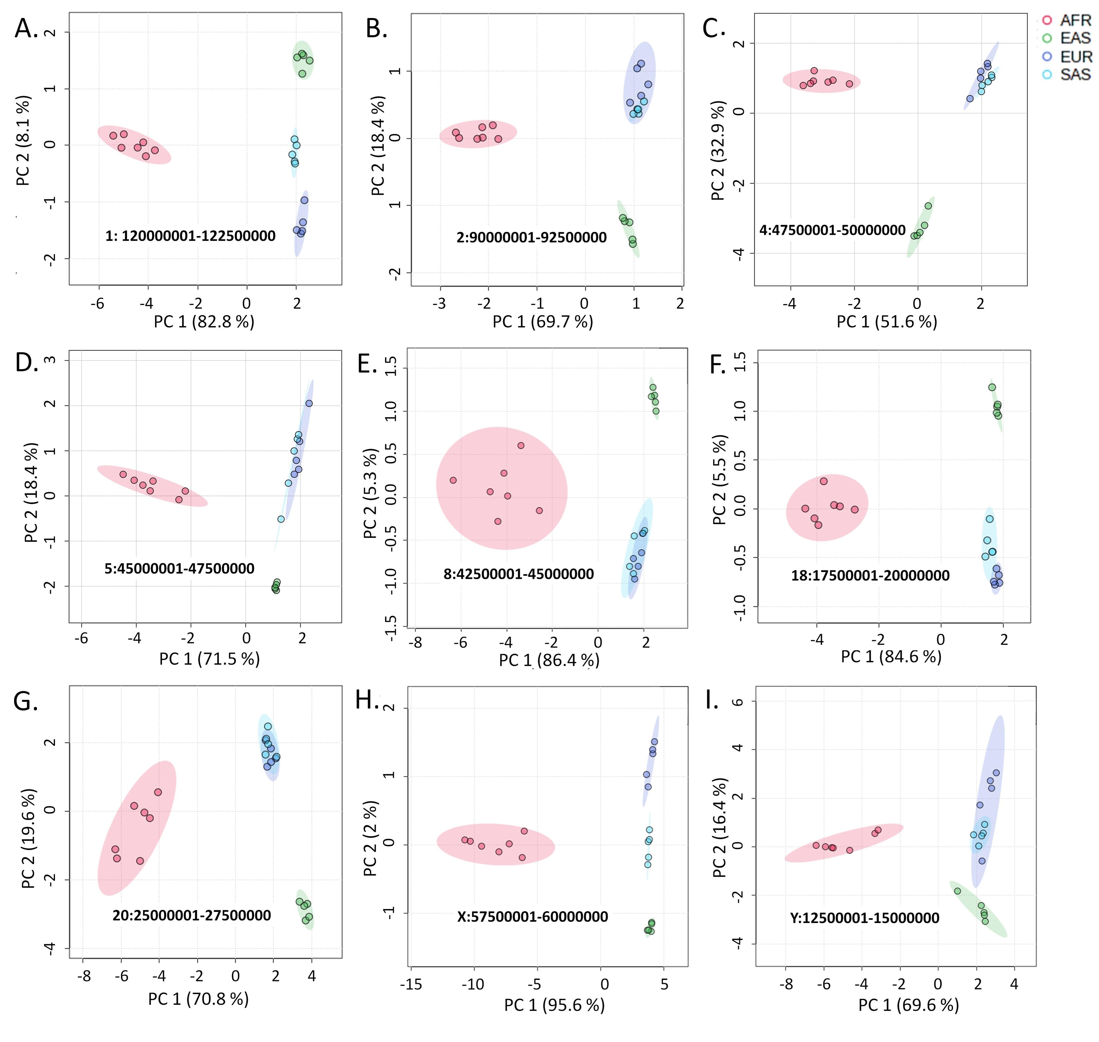 Trajectory of human migration: Insights from autosomal and non-autosomal variant clustering patterns