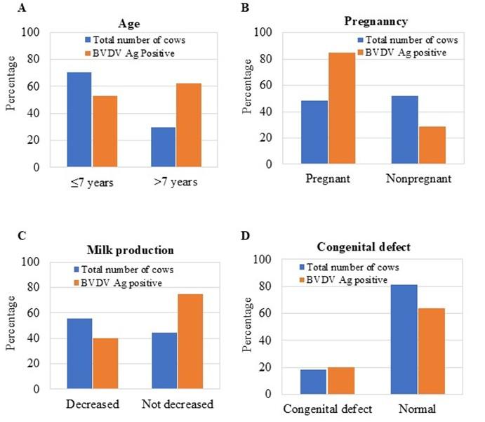 Bovine viral diarrhea virus antigen status in milk and blood serum: Implications for effective screening and risk factors analysis in dairy cows