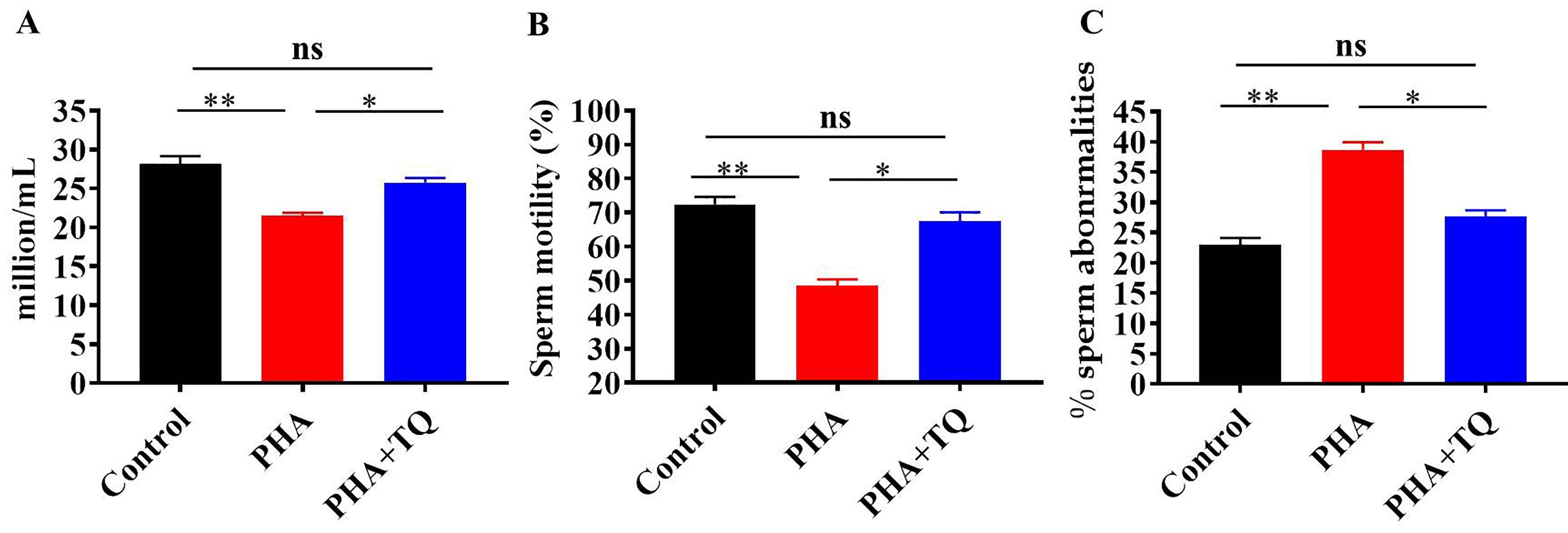 Thymoquinone mitigates phthalate-induced reproductive toxicities in male Swiss albino mice