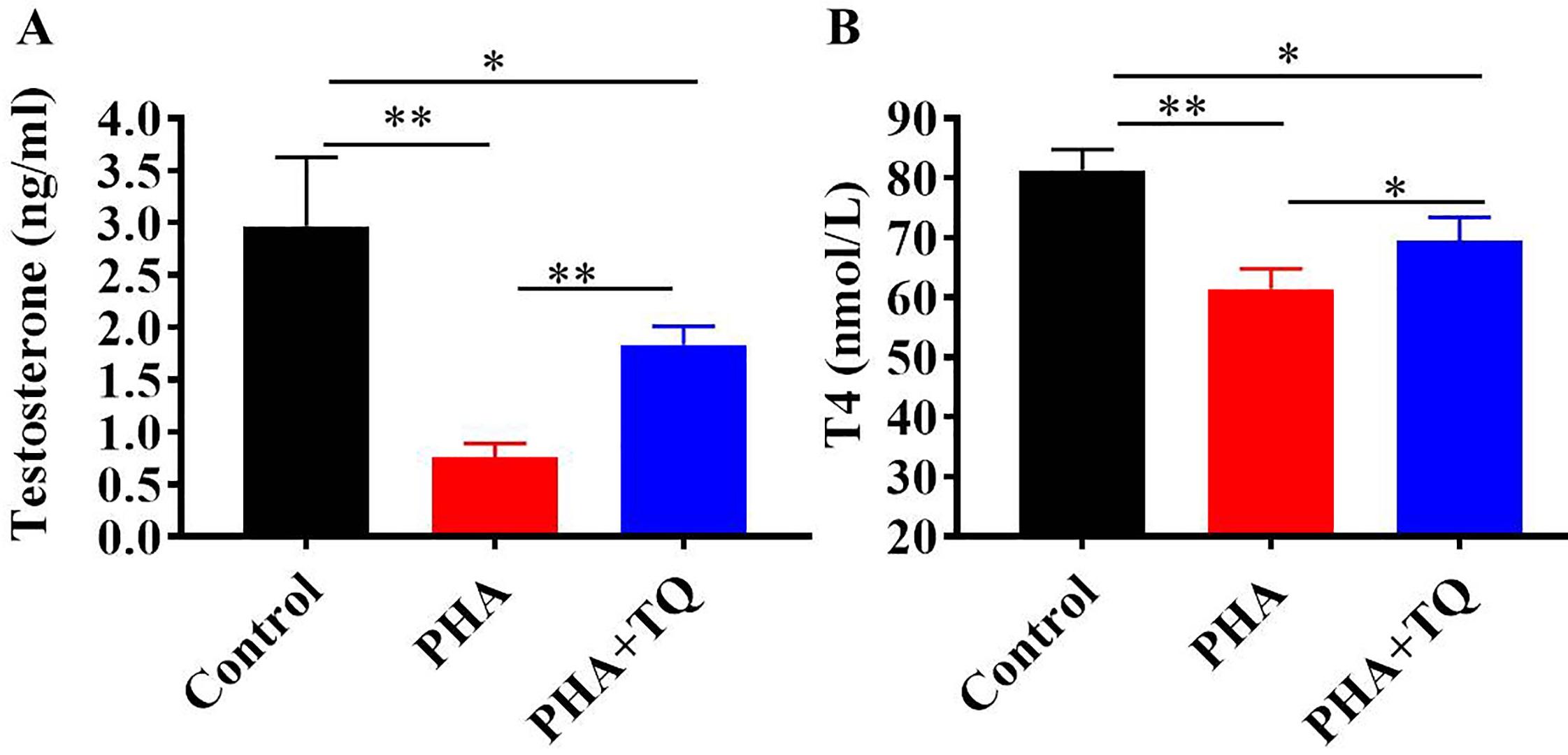 Thymoquinone mitigates phthalate-induced reproductive toxicities in male Swiss albino mice