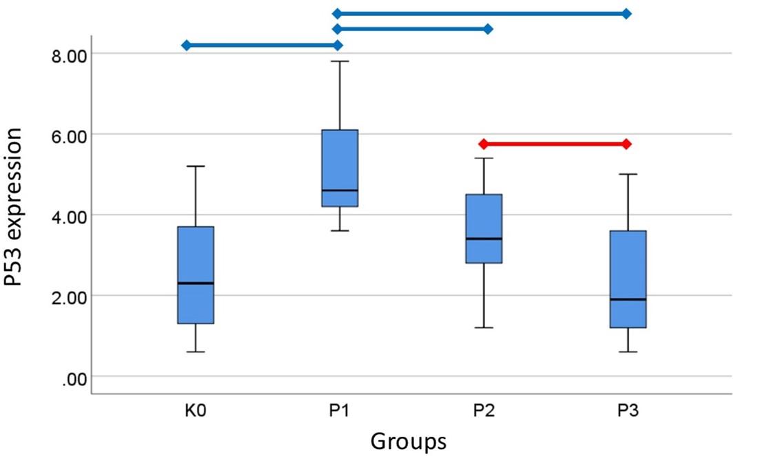 Senofilcon A contact lenses and UV-blocking spectacle lenses provide equal protection against UV-induced expression of p53 and caspase-3 in lens epithelial cells