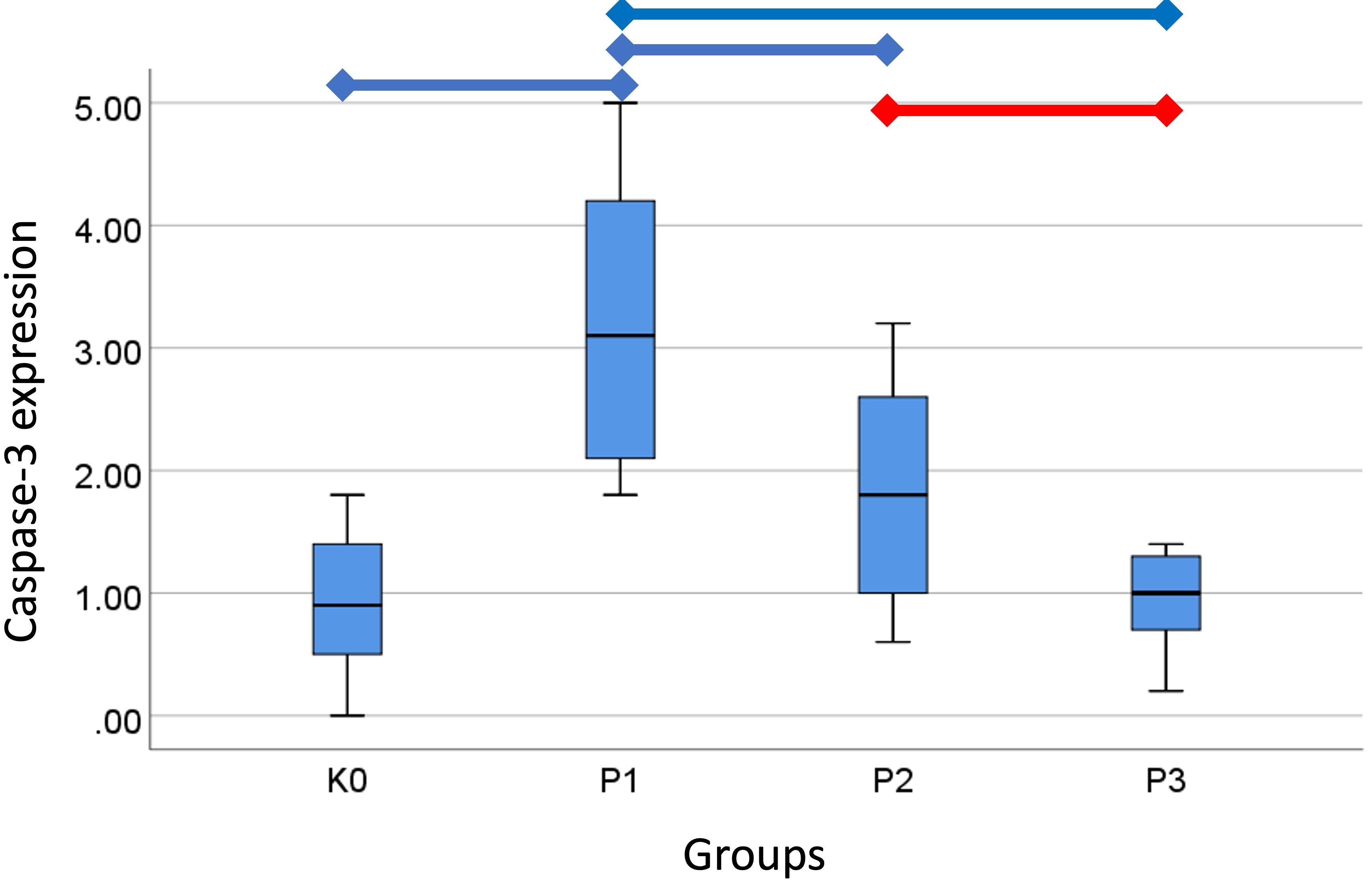 Senofilcon A contact lenses and UV-blocking spectacle lenses provide equal protection against UV-induced expression of p53 and caspase-3 in lens epithelial cells