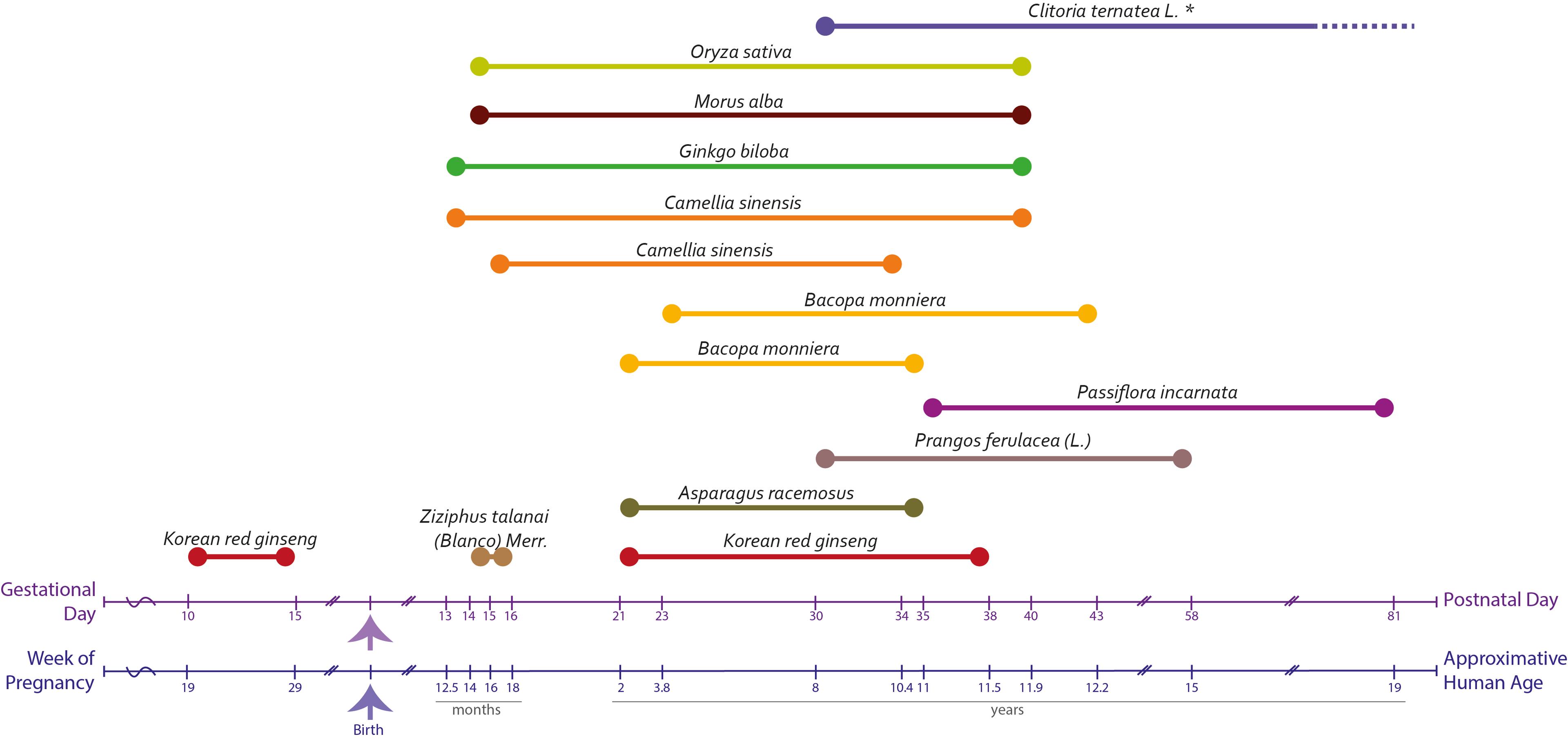 Animal model-based adjunctive herbal therapy in autism spectrum disorder: Therapeutic advances and prospects
