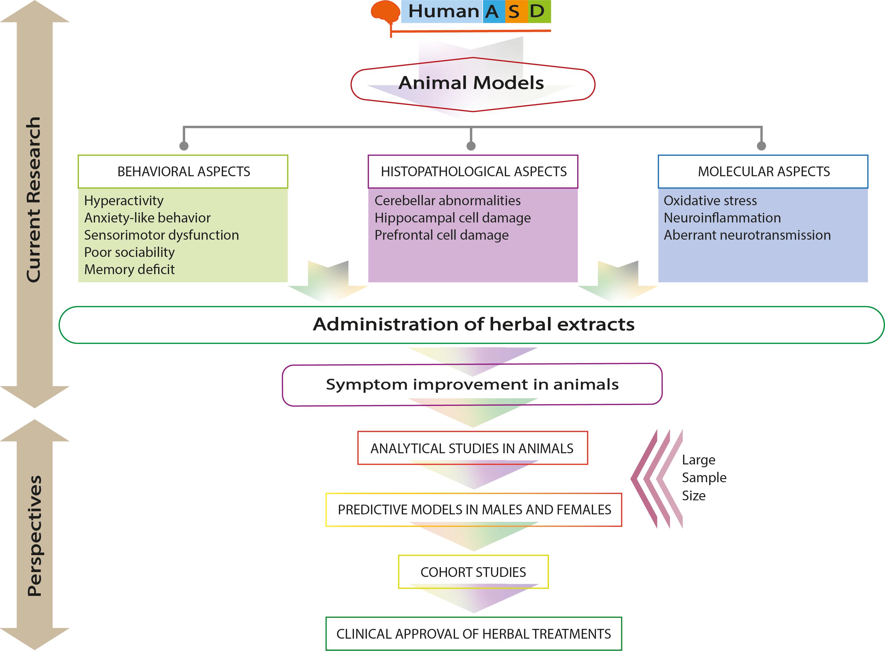 Animal model-based adjunctive herbal therapy in autism spectrum disorder: Therapeutic advances and prospects