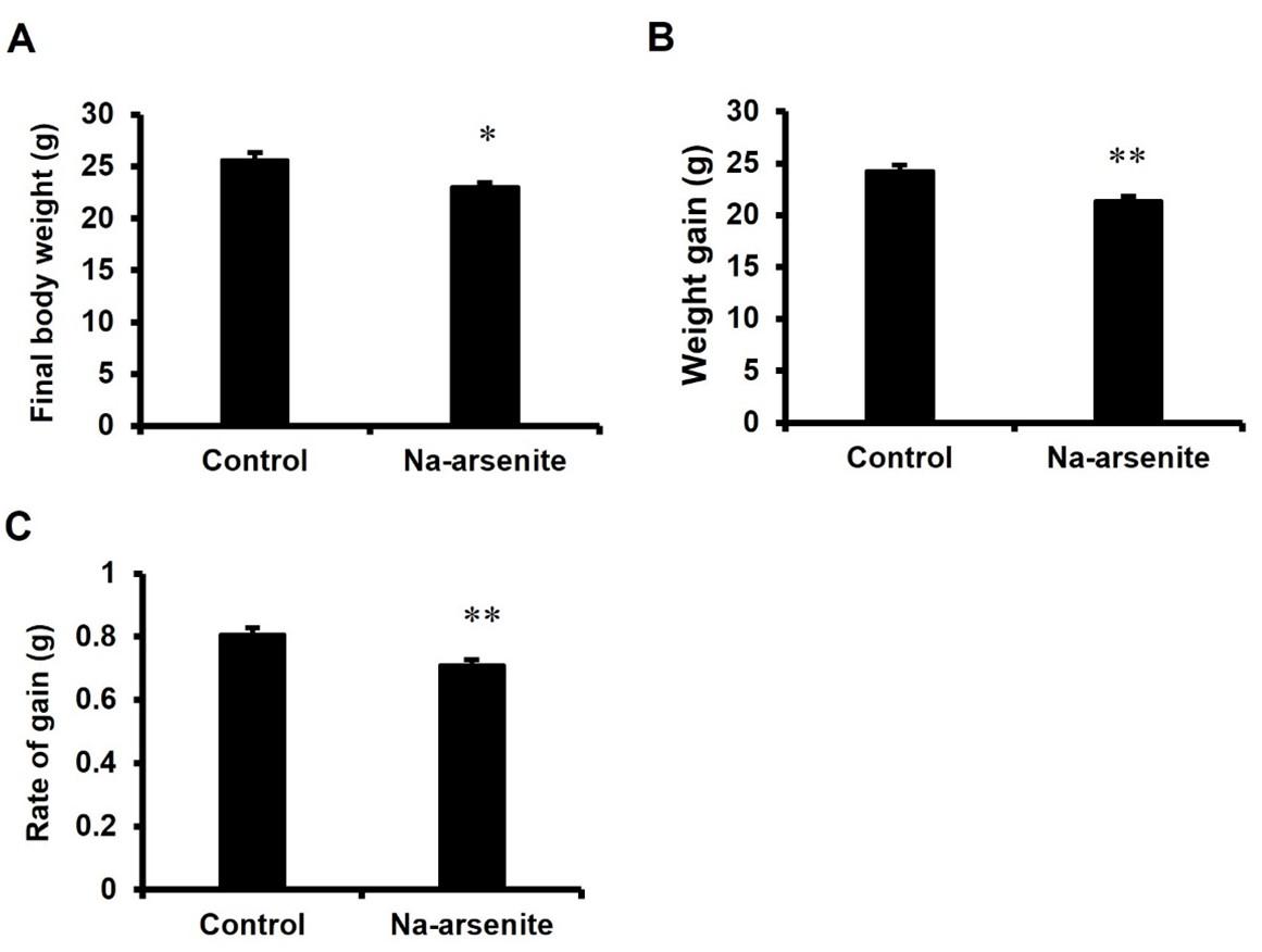 Inorganic arsenic exposure during pregnancy affects post-natal growth, blood parameters, and organ development of mice offspring