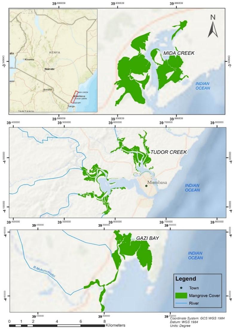Molecular characterization and antibacterial activities of mangrove endophytic fungi from coastal Kenya