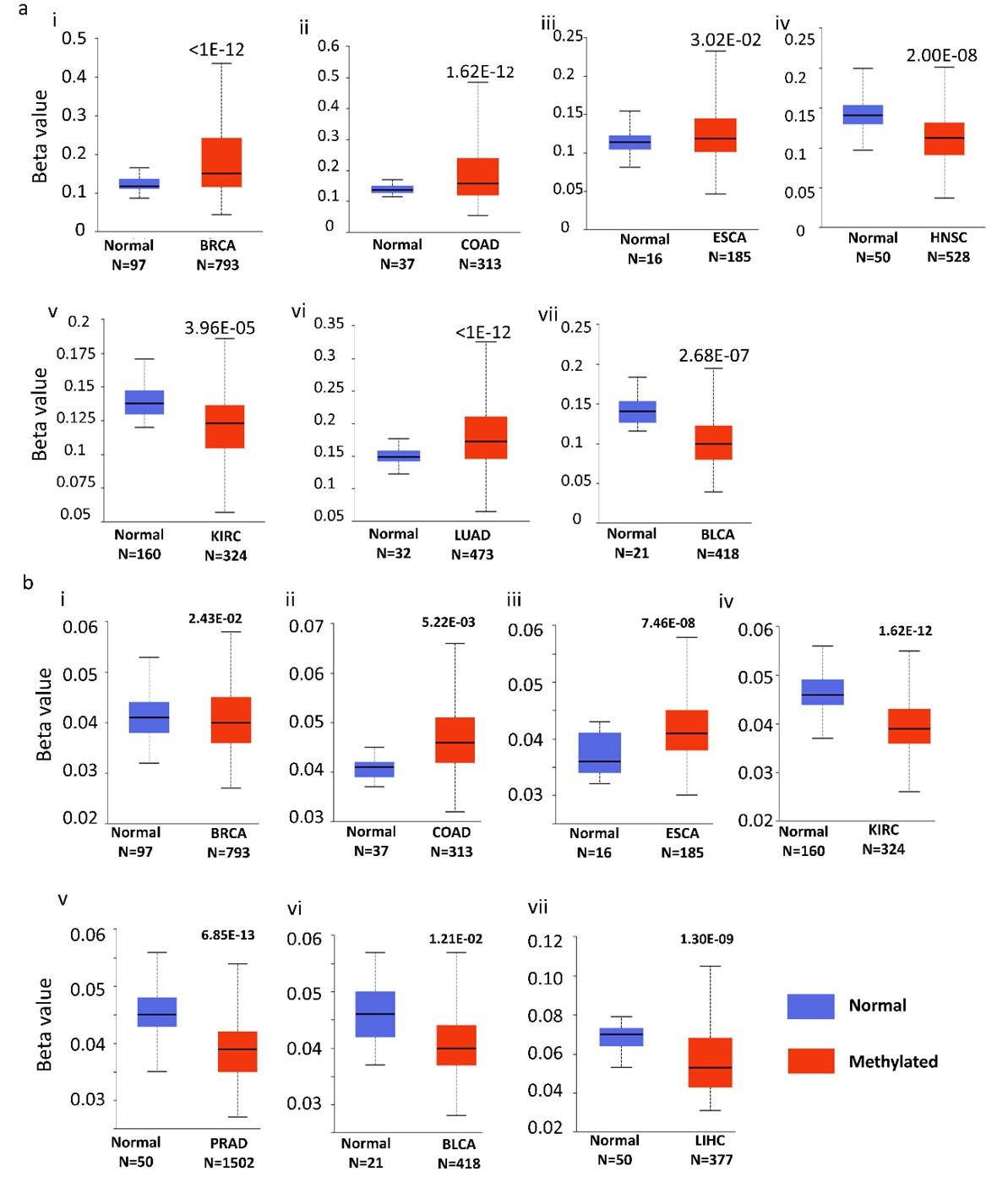HTRA1 and HTRA2 expression differentially modulate the clinical prognosis of cancer: a multi-omics analysis using bioinformatics approaches