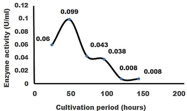 Isolation, documentation, and biochemical characterization of cellulolytic bacteria from rumen fluid of cattle