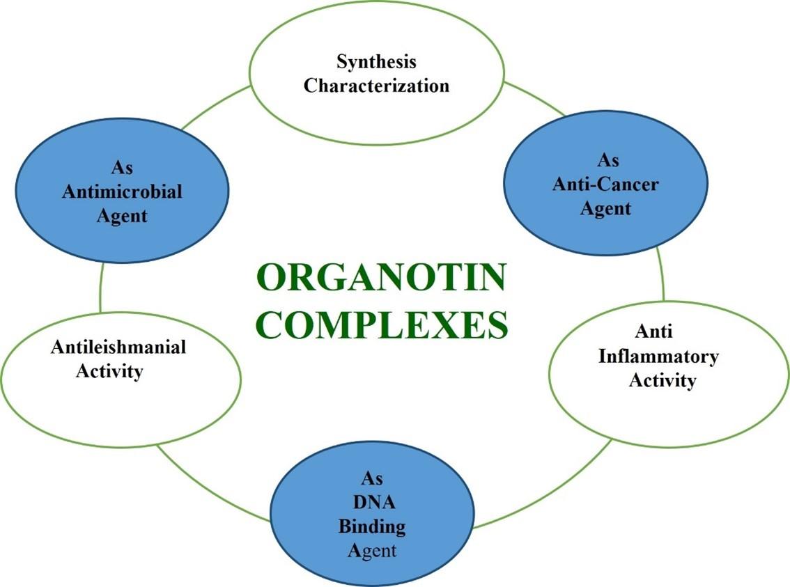 Path of organotin complexes: synthetic factors, mechanisms, and broad-spectrum biological influences