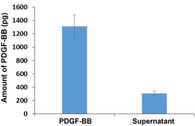 Investigation of PDGF-BB aptamer binding using growth factor-coated particles and flow cytometry