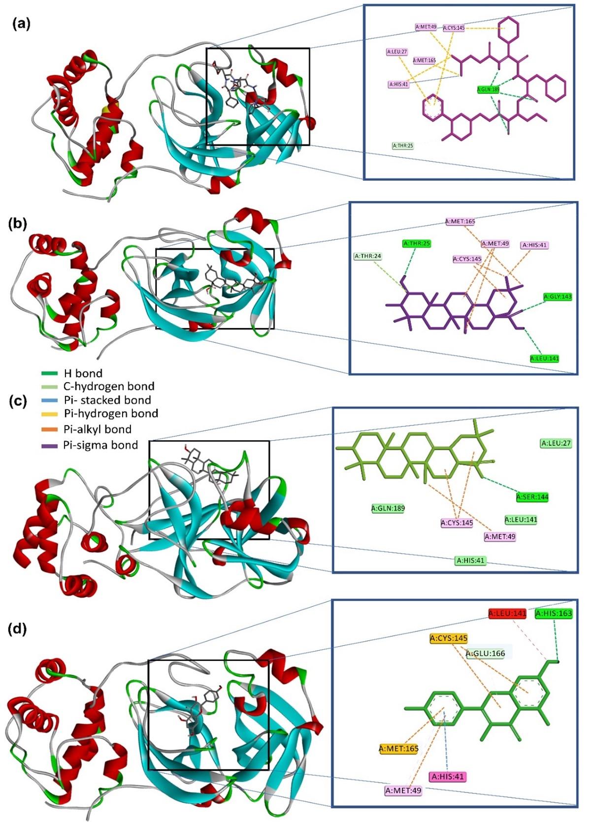 Syzygium aromaticum as a possible source of SARS-CoV-2 main protease inhibitors: Evidence from a computational investigation