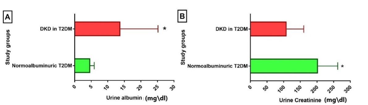 Kidney injury molecule-1 and cystatin C as early biomarkers for renal dysfunction in Iraqi type 2 diabetes mellitus patients