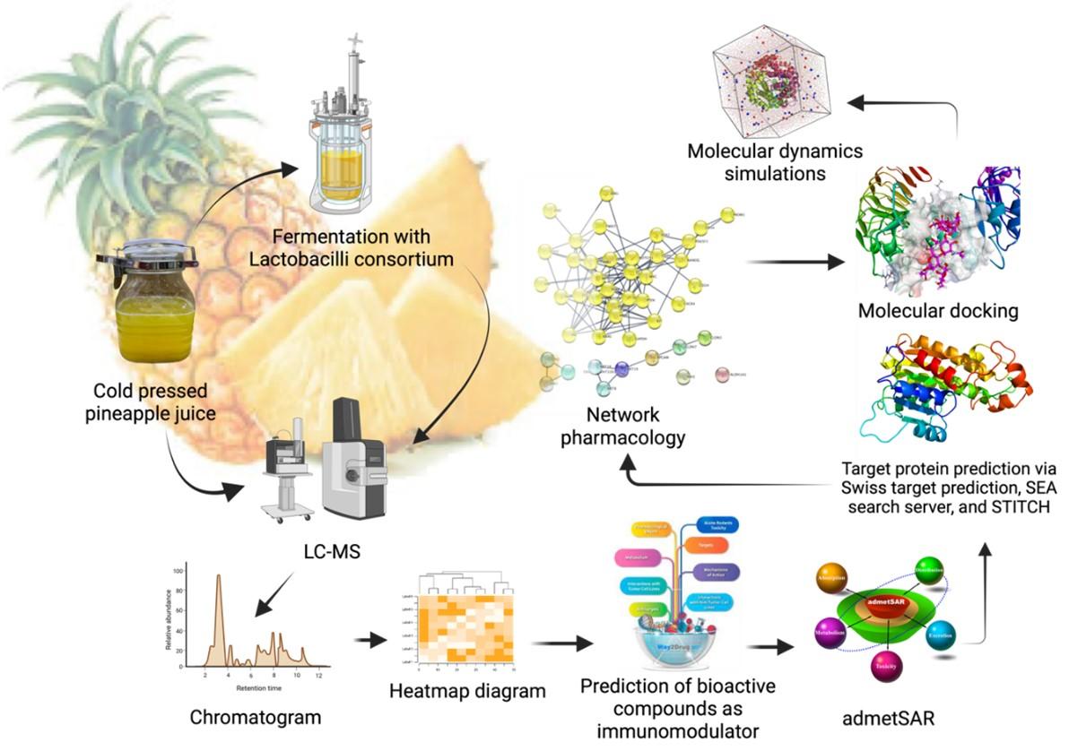 Unveiling the immunomodulatory mechanisms of pineapple metabolites: A multi-modal computational analysis using network pharmacology, molecular docking, and molecular dynamics simulation