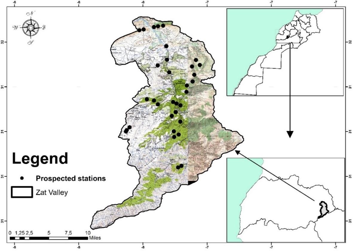 Analysis of floristic diversity of the forest ecosystems of the Zat valley- High Atlas of Morocco: Valorization and Conservation perspectives