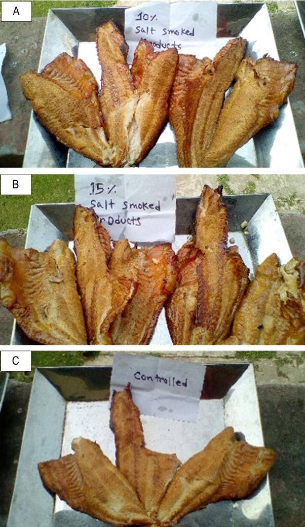 Assessment of quality and shelf-life of salt-smoked cured products from Pangasius catfish at various temperatures