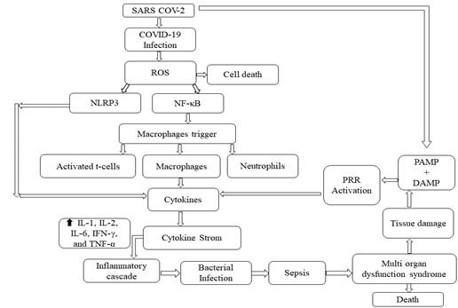 Determining the disease outcome by cytokine storm during infectious diseases and targeting cytokines during sepsis: Possible therapeutic options