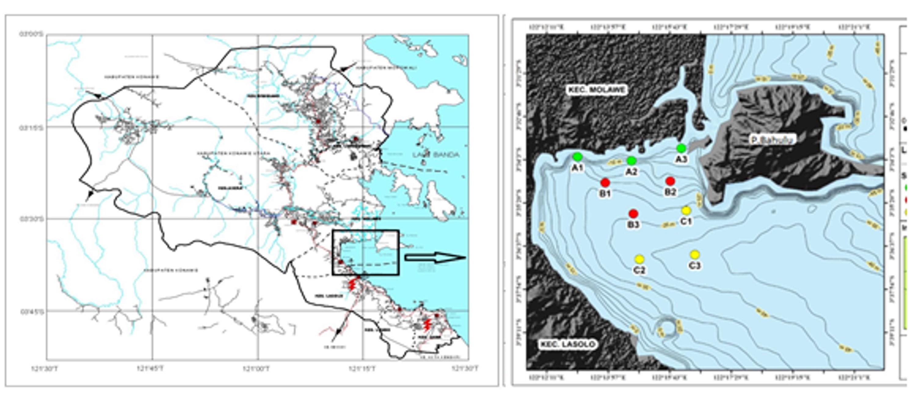 Spatial distribution of phytoplankton in Lasolo Bay of Southeast Sulawesi province, Indonesia