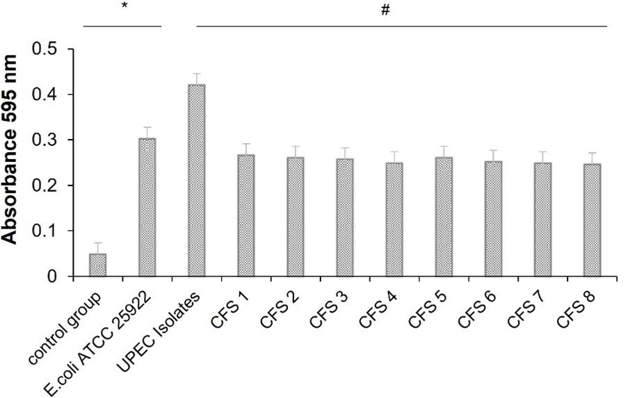 Inhibitory effects of synbiotics on biofilm of uropathogenic Escherichia coli during urinary tract infection