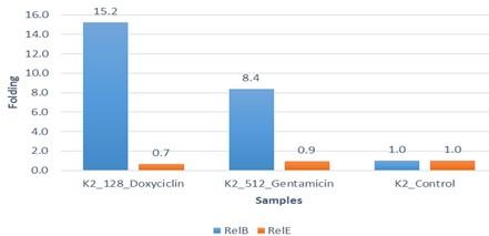 Effect of gentamicin and doxycycline on expression of relB and relE genes in Klebsiella pneumonia