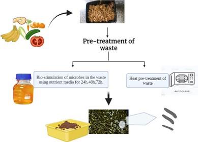 Influence of fruits and vegetables waste pre-treatment on black soldier fly larval growth