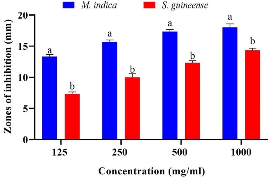 Antibacterial and phytochemical effects of ethanol extracts of Syzygium guineense (Willd.) DC barks and Mangifera indica L seeds
