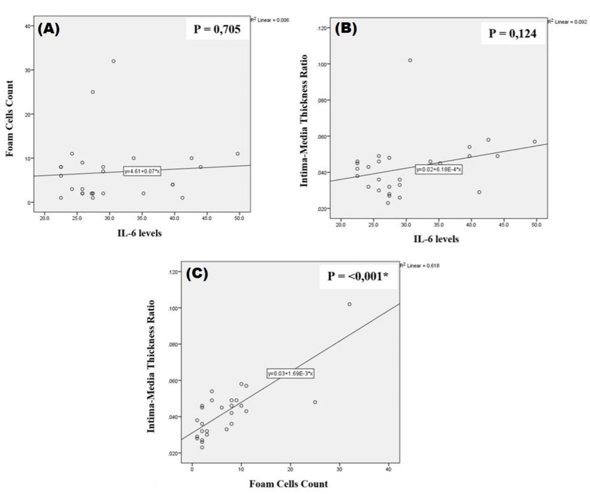 Effect of white tea (Camellia sinensis) leaf extract on cigarette smoke and high-fat diet-induced atherosclerosis in Wistar rats