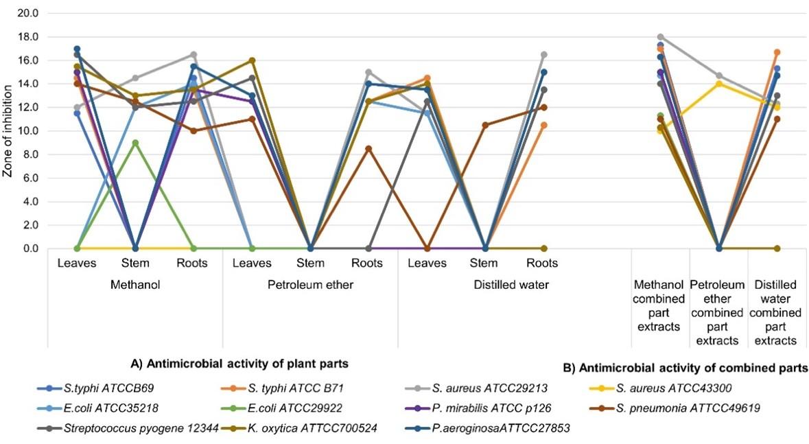 Evaluation of phytochemical profile and antimicrobial activity of Tragia brevipes extracts against pathogenic bacteria