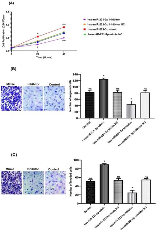 MicroRNA-221-3p promotes cell proliferation, migration, and invasion in gastric cancer by modulating PIK3R1