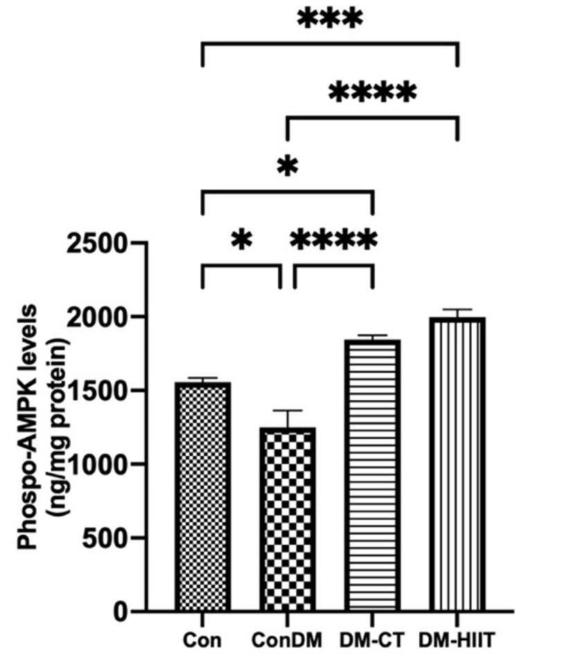 High-intensity interval training increases AMPK and GLUT4 expressions via FGF21 in skeletal muscles of diabetic rats