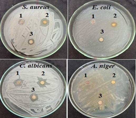 Chemical characterization, antimicrobial, antioxidant and larvicidal activities of certain fungal extracts