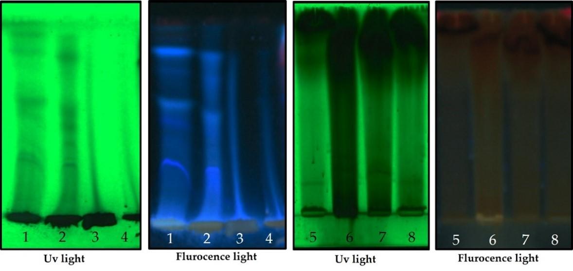 HPTLC fingerprinting analysis of phytoconstituents from Bixa orellana and Beta vulgaris plant pigment