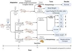 Investigation of growth performance, lipid profile, and liver histotexure of mice treated with butyric acid