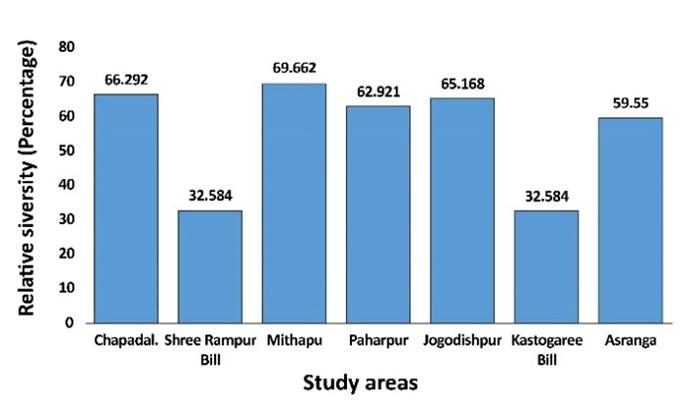 Habit and habitual status with relative diversity study of avifauna of Jaipurhat district of Bangladesh