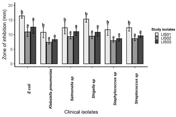 Antagonistic activity of Exiguobacterium indicum LIS01 isolated from sediment