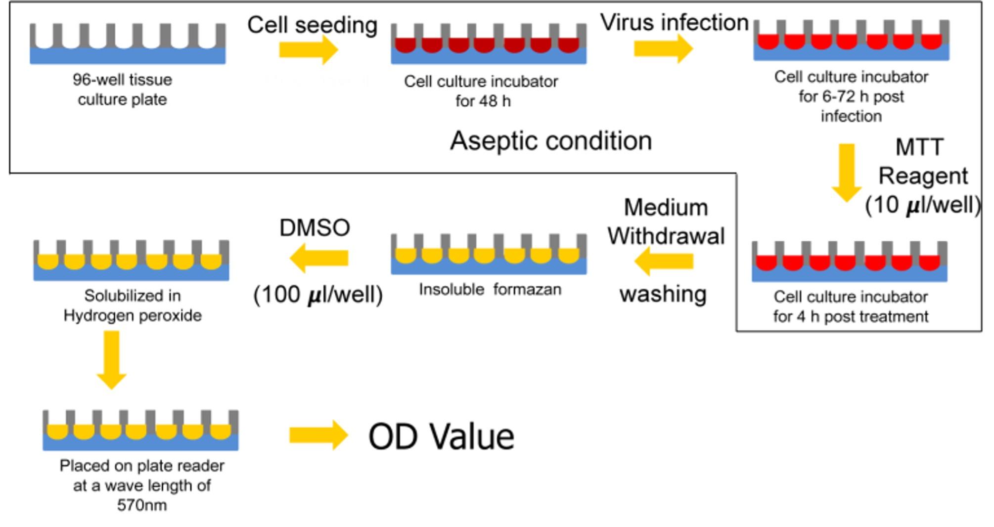 Spectrochemical characterization of Vero cell line against PPR virus infection