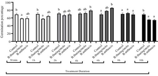 Isolation and characterization of bacteria from two soil samples and their effect on wheat (Triticum aestivum L.) growth promotion