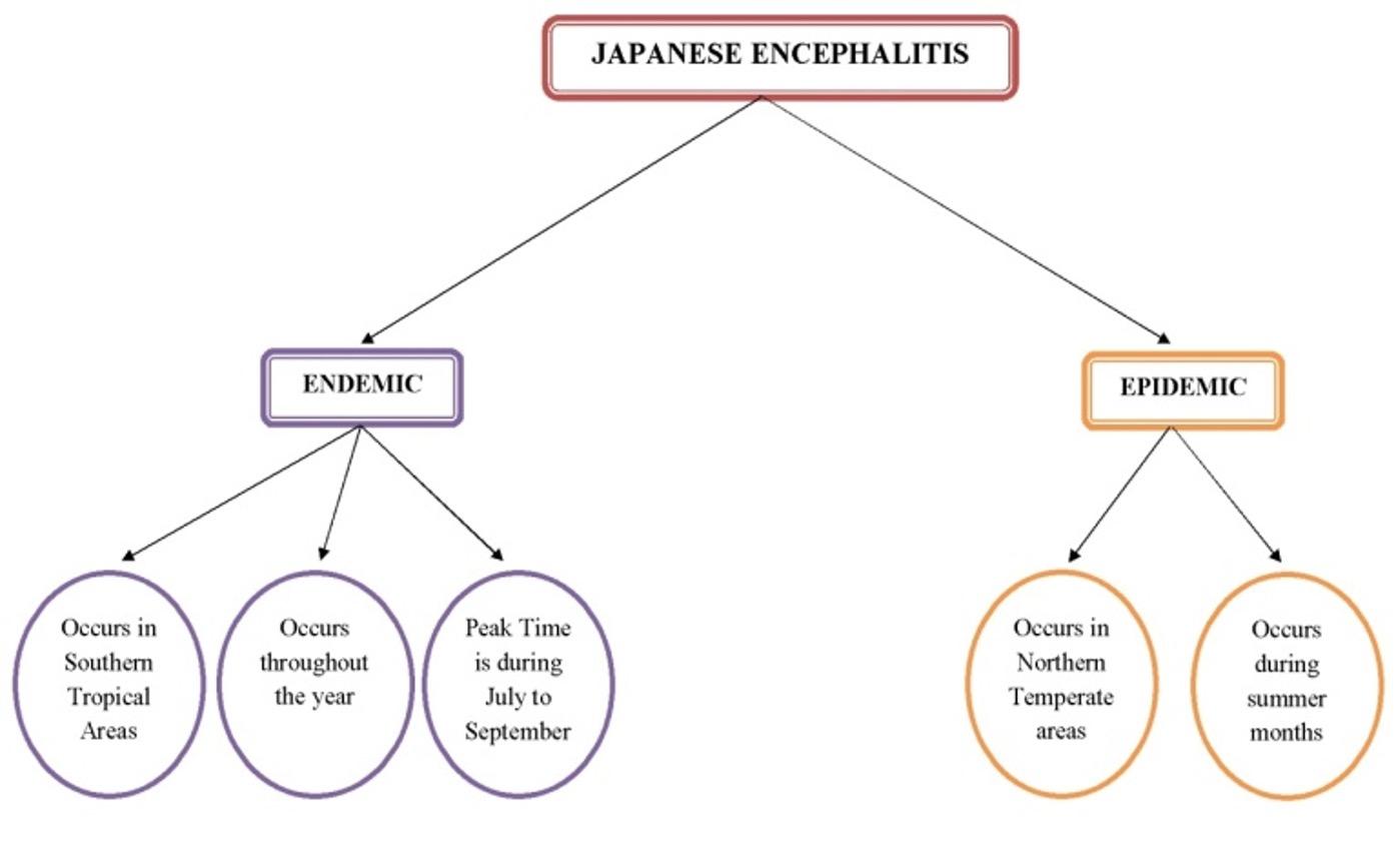 A brief review on Japanese Encephalitis in Swine with its diagnostic strategies