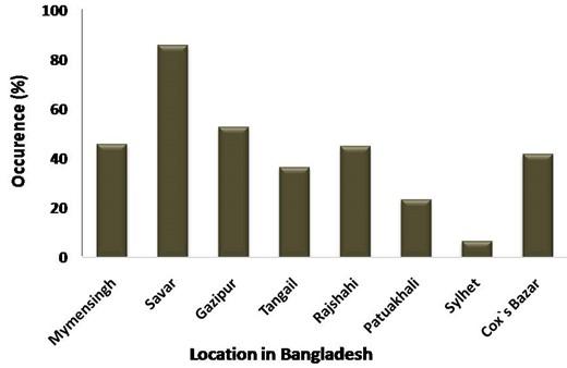 Outbreak of Salmonella in poultry of Bangladesh and possible remedy