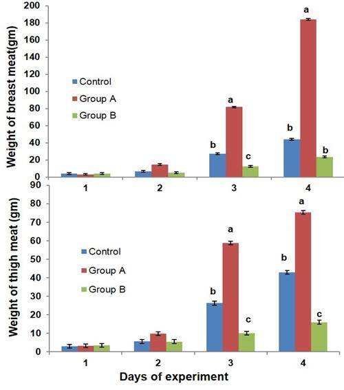 Adaptations of muscular biology in response to potential glucocorticoid treatment in broiler chicken